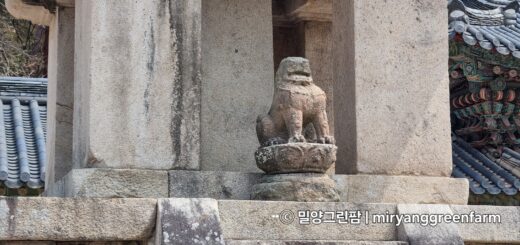 다보탑에 있는 외로운 돌사자
