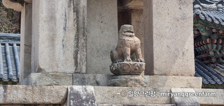 다보탑에 있는 외로운 돌사자