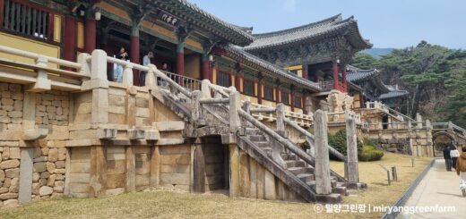 경주 불국사 천년의 건축 미