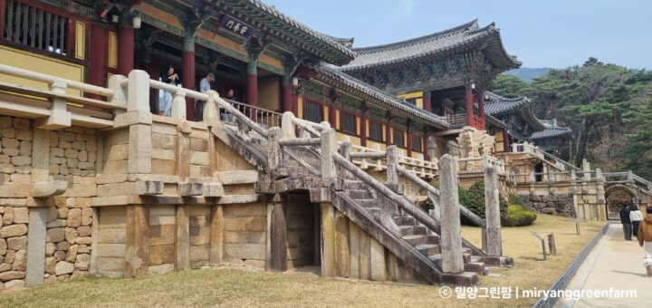 경주 불국사 천년의 건축 미